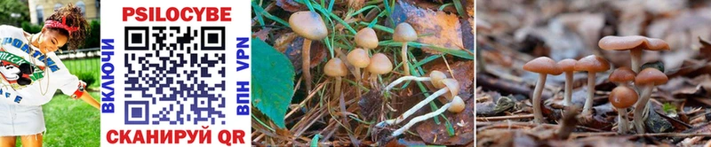 Псилоцибиновые грибы Magic Shrooms Москва