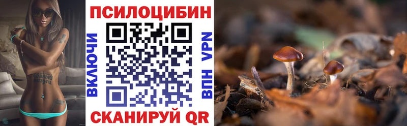 Псилоцибиновые грибы Magic Shrooms  Москва 
